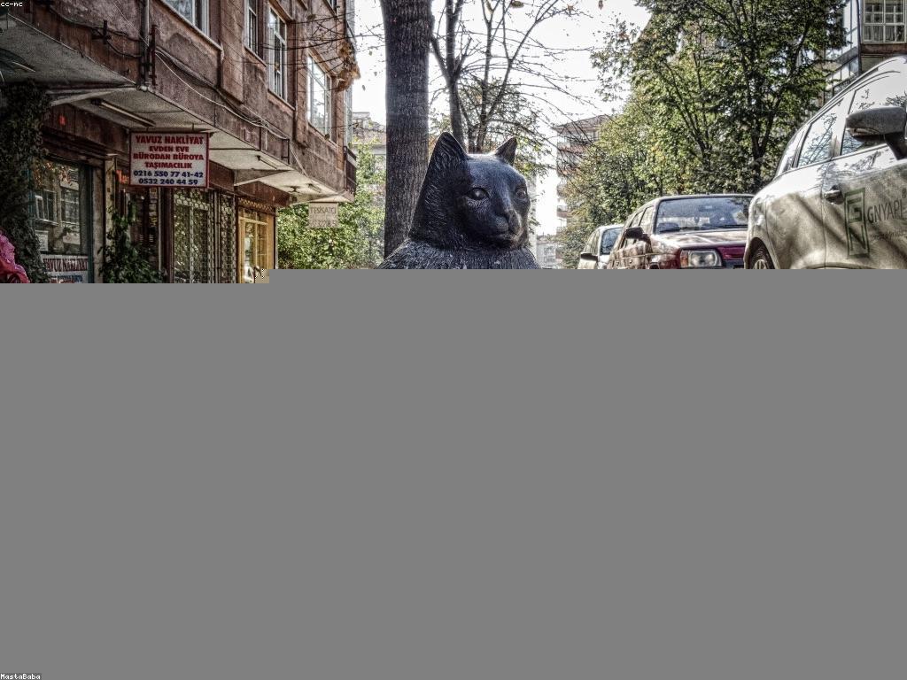 ព័ត៌មានថ្មីៗ: ការបង្ហាញនិងការវិភាគ